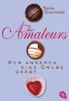 bokomslag THE AMATEURS - Wer anderen eine Grube gräbt