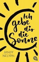 Jandy Nelson - Ich gebe dir die Sonne, Häftad