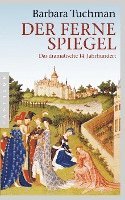 bokomslag Der ferne Spiegel