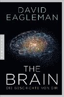 bokomslag The Brain