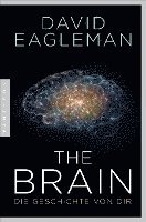 David Eagleman - The Brain, Inbunden
