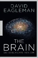 The Brain 1