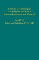bokomslag Kritische Gesamtausgabe der Schriften und Briefe Andreas Bodensteins von Karlstadt Band VIII