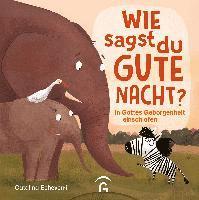 bokomslag Wie sagst du Gute Nacht?