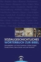 bokomslag Sozialgeschichtliches Wörterbuch zur Bibel