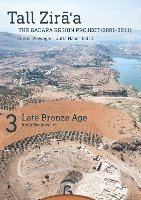 bokomslag Late Bronze Age