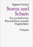 bokomslag Status und Scham