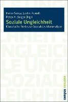 bokomslag Soziale Ungleichheit