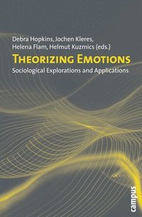 bokomslag Theorizing Emotions