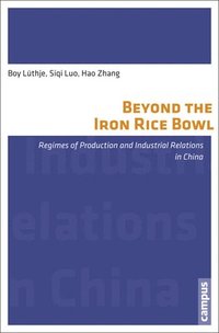 bokomslag Beyond the Iron Rice Bowl