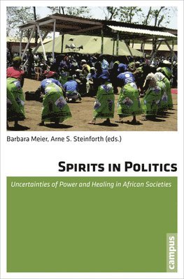 Barbara Meier, Arne S. Steinforth - Spirits in Politics, Häftad