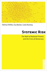 bokomslag Systemic Risk
