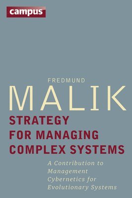 bokomslag Strategy for Managing Complex Systems