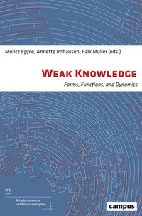 bokomslag Weak Knowledge - Forms, Functions, and Dynamics