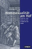 bokomslag Homosexualität am Hof