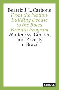 bokomslag From the Nation-Building Debate to the Bolsa Família Program