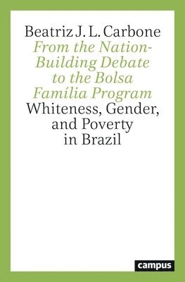 bokomslag From the Nation-Building Debate to the Bolsa Família Program