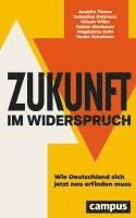 bokomslag Zukunft im Widerspruch