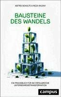 Astrid Schulte, Reza Razavi - Bausteine des Wandels, Inbunden