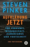 bokomslag Aufklärung jetzt