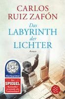 bokomslag Das Labyrinth der Lichter