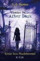 bokomslag Shadow Falls - After Dark 02. Unter dem Nachthimmel