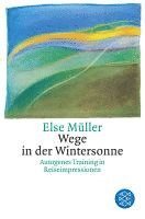 bokomslag Wege in der Wintersonne