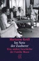 bokomslag Im Netz der Zauberer. Eine andere Geschichte der Familie Mann