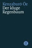 bokomslag Der kluge Regenbaum