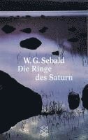 Winfried G. Sebald - Die Ringe des Saturn, Häftad
