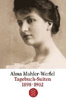 bokomslag Tagebuch-Suiten 1898-1902