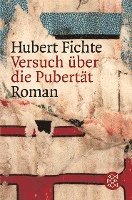 Hubert Fichte - Versuch über die Pubertät, Häftad