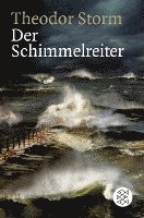 bokomslag Der Schimmelreiter