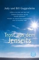 bokomslag Trost aus dem Jenseits