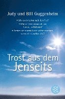 Trost aus dem Jenseits 1