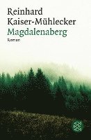 bokomslag Magdalenaberg