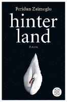 Hinterland 1