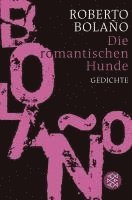 Roberto Bolaño - Die romantischen Hunde, Häftad