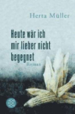 Herta Muller - Heute ware ich mir lieber nicht begegnet, Häftad