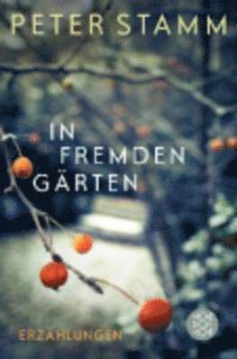 Peter Stamm - In fremden Garten, Häftad