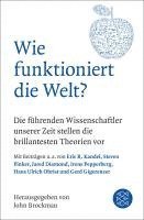 bokomslag Wie funktioniert die Welt?