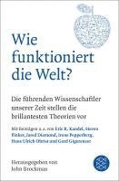 bokomslag Wie funktioniert die Welt?