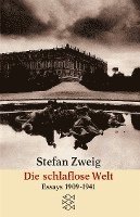 bokomslag Die schlaflose Welt