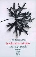 bokomslag Joseph und seine Brüder II. Der junge Joseph