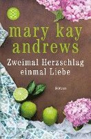 Mary Kay Andrews - Zweimal Herzschlag, einmal Liebe, Häftad
