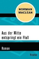 bokomslag Aus der Mitte entspringt ein Fluss