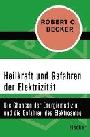 bokomslag Heilkraft und Gefahren der Elektrizität