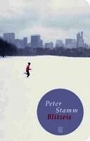 Peter Stamm - Blitzeis, Inbunden