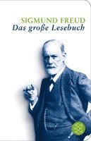 bokomslag Sigmund Freud: Das große Lesebuch
