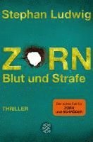 bokomslag Zorn 8 - Blut und Strafe